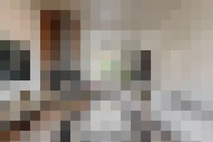 Wethouder Dijkshoornlaan 9 Maasland thumbnail 9