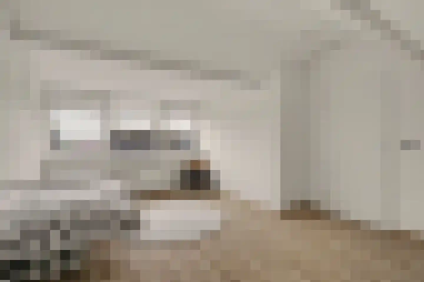 Wethouder Dubbelmanstraat 30 Lage Zwaluwe thumbnail 37