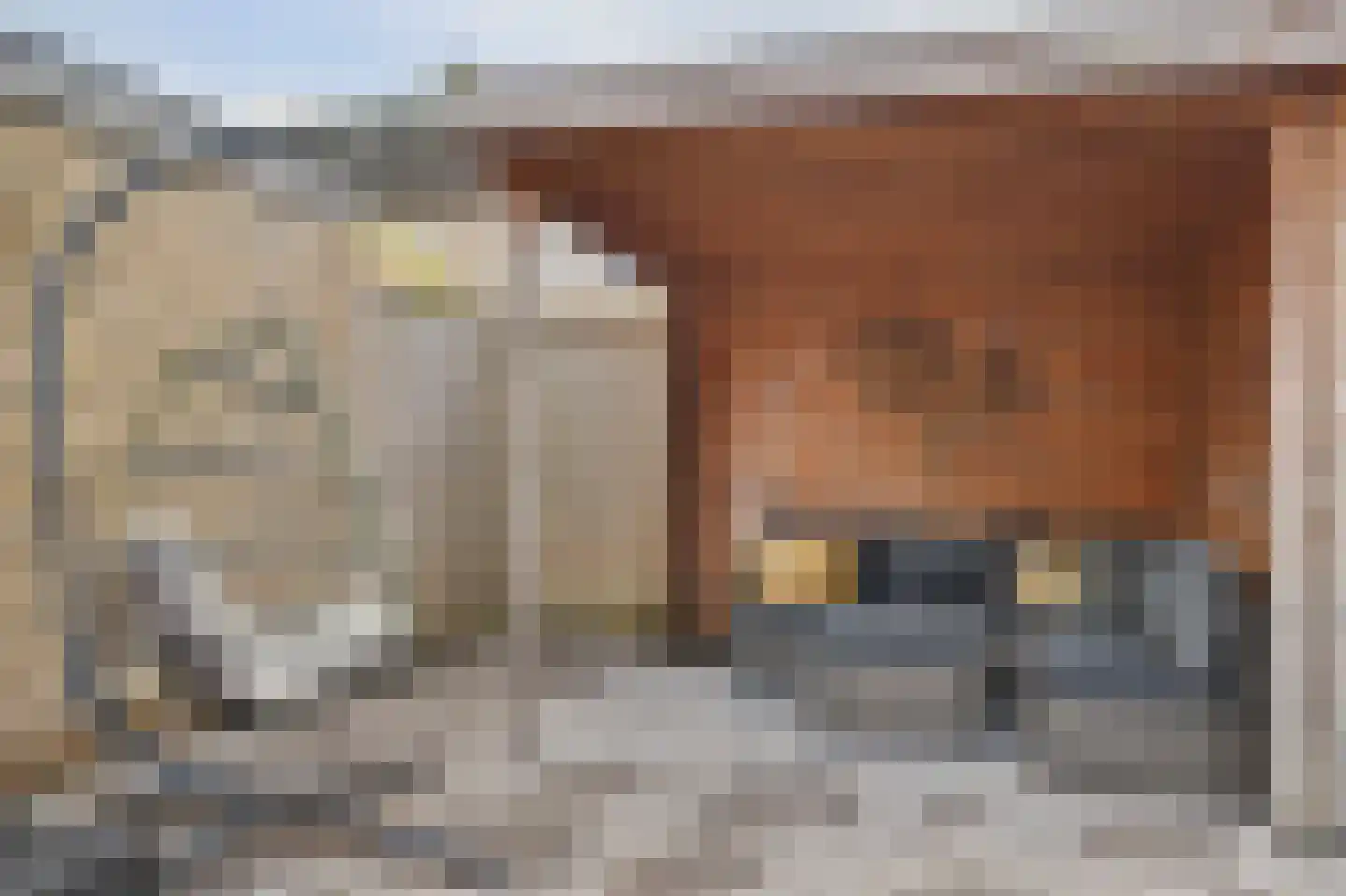 Wethouder Dubbelmanstraat 30 Lage Zwaluwe thumbnail 40