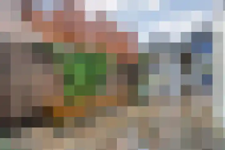 Wethouder E. van Dronkelaarplein 8 Almelo thumbnail 29