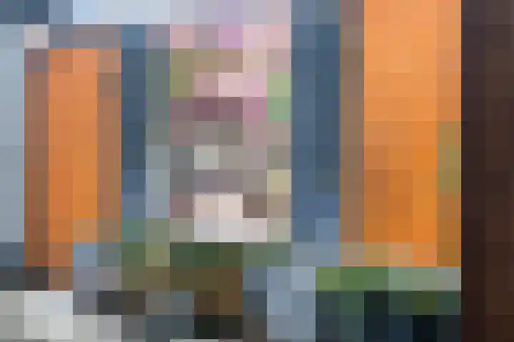 Wethouder E. van Dronkelaarplein 8 Almelo thumbnail 31