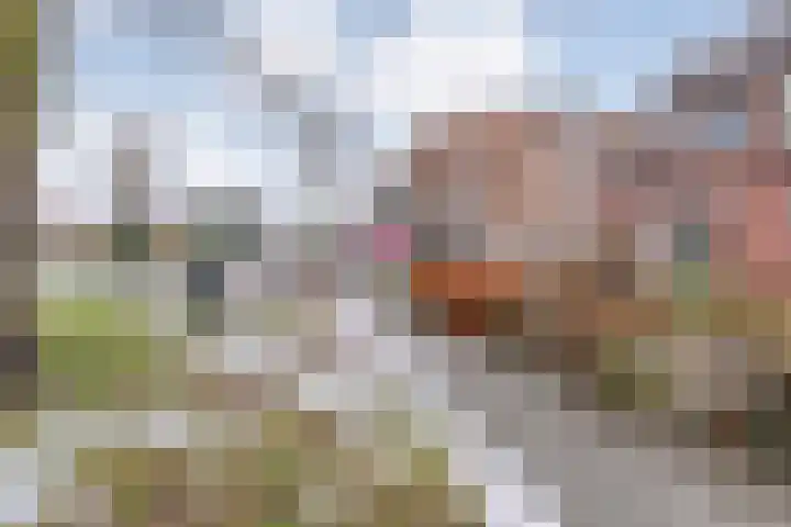 Wethouder E. van Dronkelaarplein 8 Almelo thumbnail 38