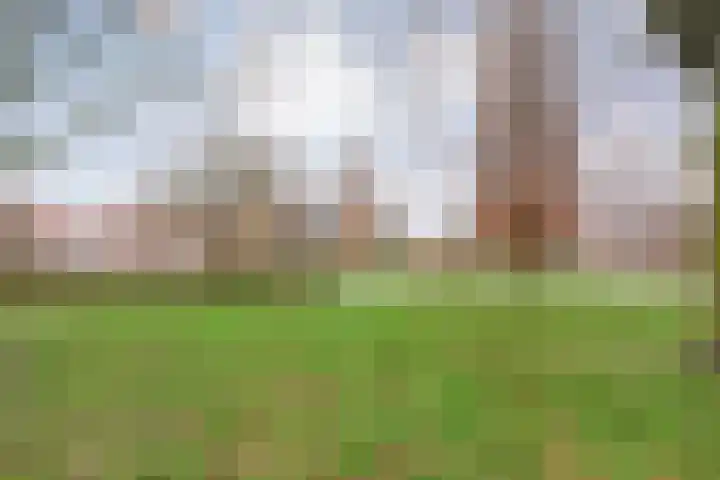 Wethouder E. van Dronkelaarplein 8 Almelo thumbnail 39