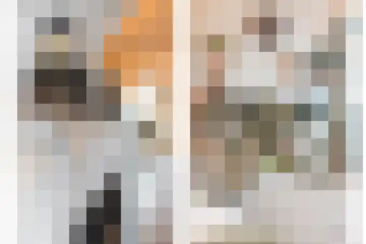 Wethouder E. van Dronkelaarplein 8 Almelo thumbnail 9
