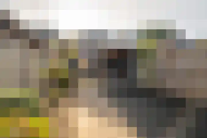 Wethouder Elhorststraat 10 Enschede thumbnail 28
