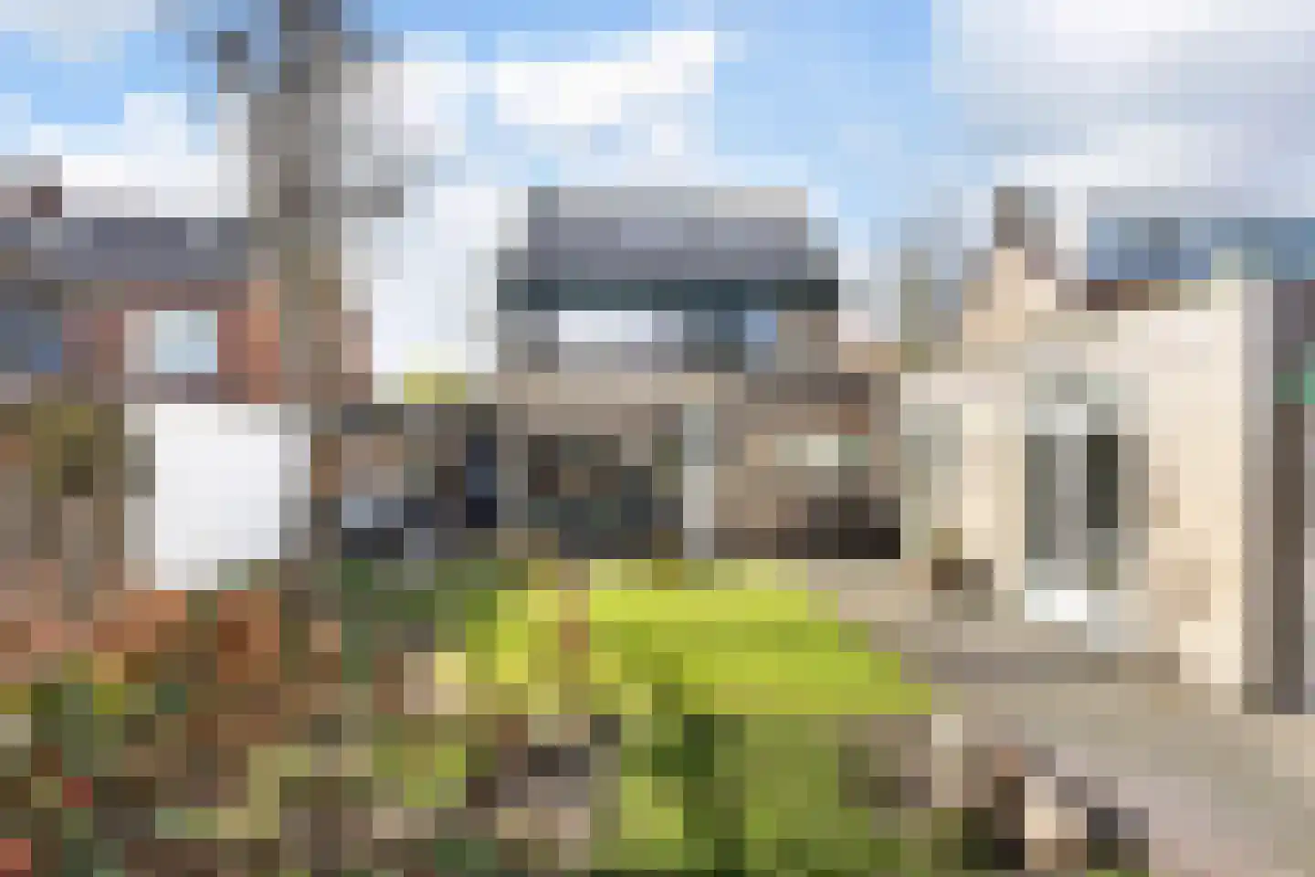 Wethouder Elhorststraat 41 Enschede thumbnail 40