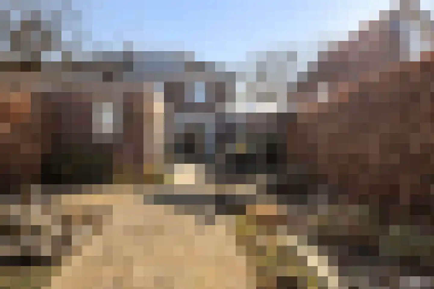 Wethouder Elhorststraat 68 Enschede thumbnail 37
