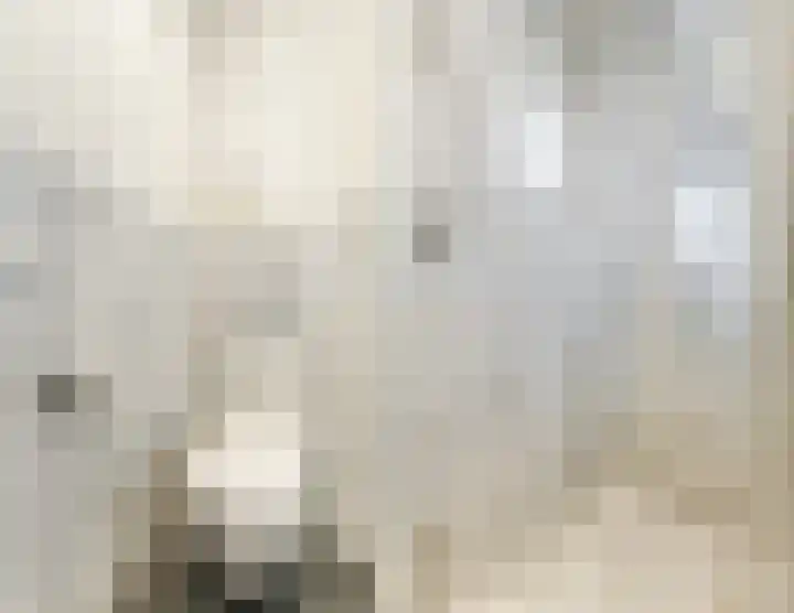 Wethouder Frankeweg 2 3 Amsterdam thumbnail 21