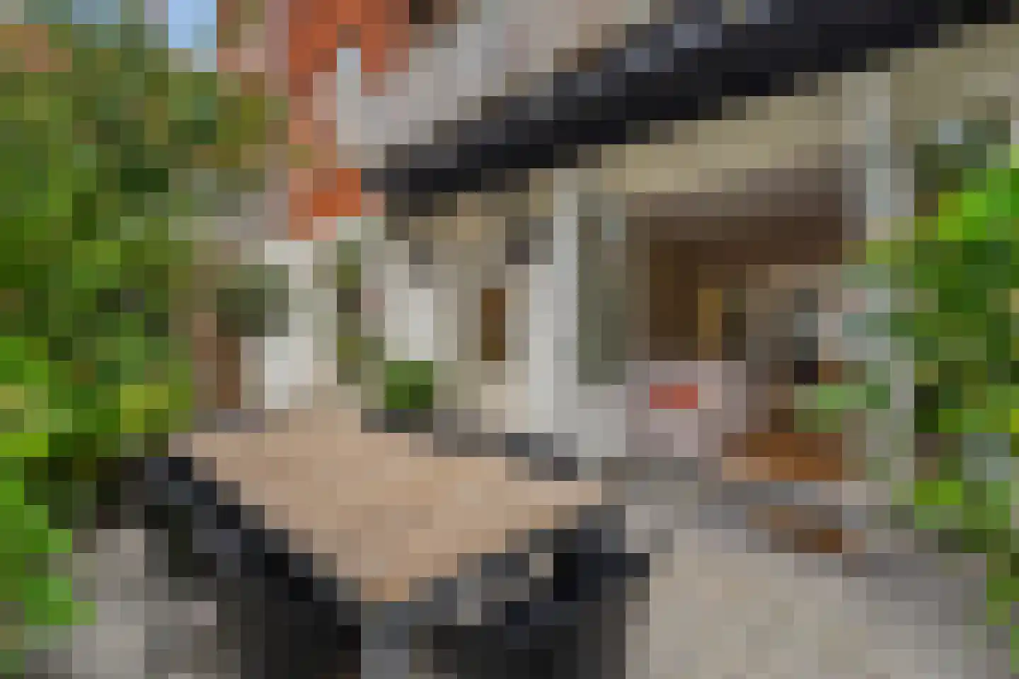 Wethouder Frankeweg 3 H Amsterdam thumbnail 14