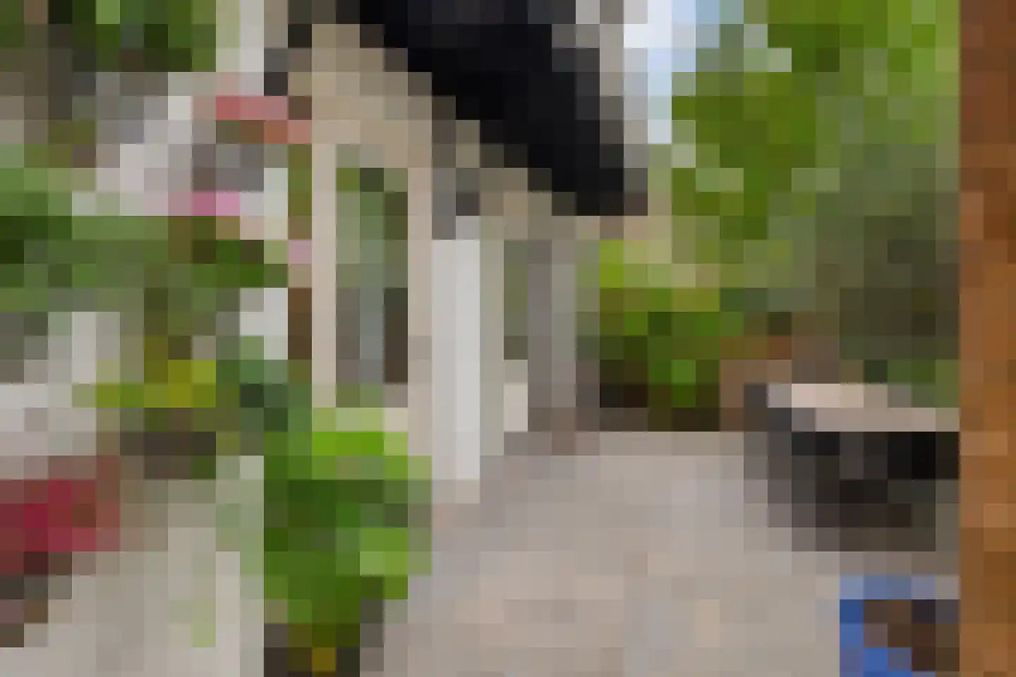 Wethouder Frankeweg 3 H Amsterdam thumbnail 17