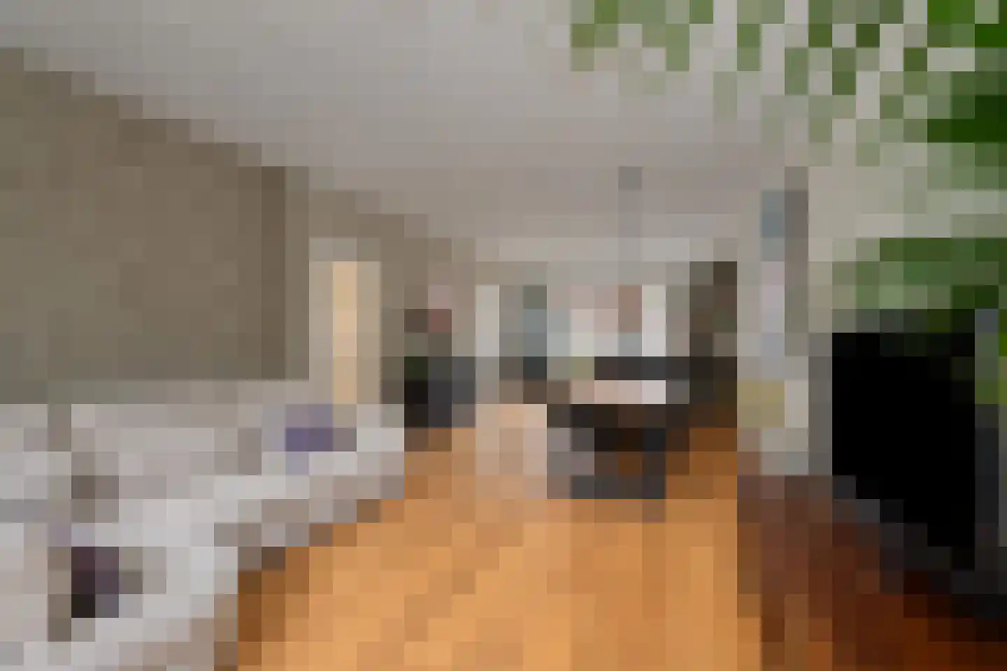 Wethouder Frankeweg 3 H Amsterdam thumbnail 4