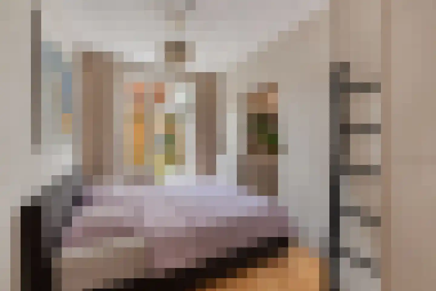 Wethouder Frankeweg 3 H Amsterdam thumbnail 5
