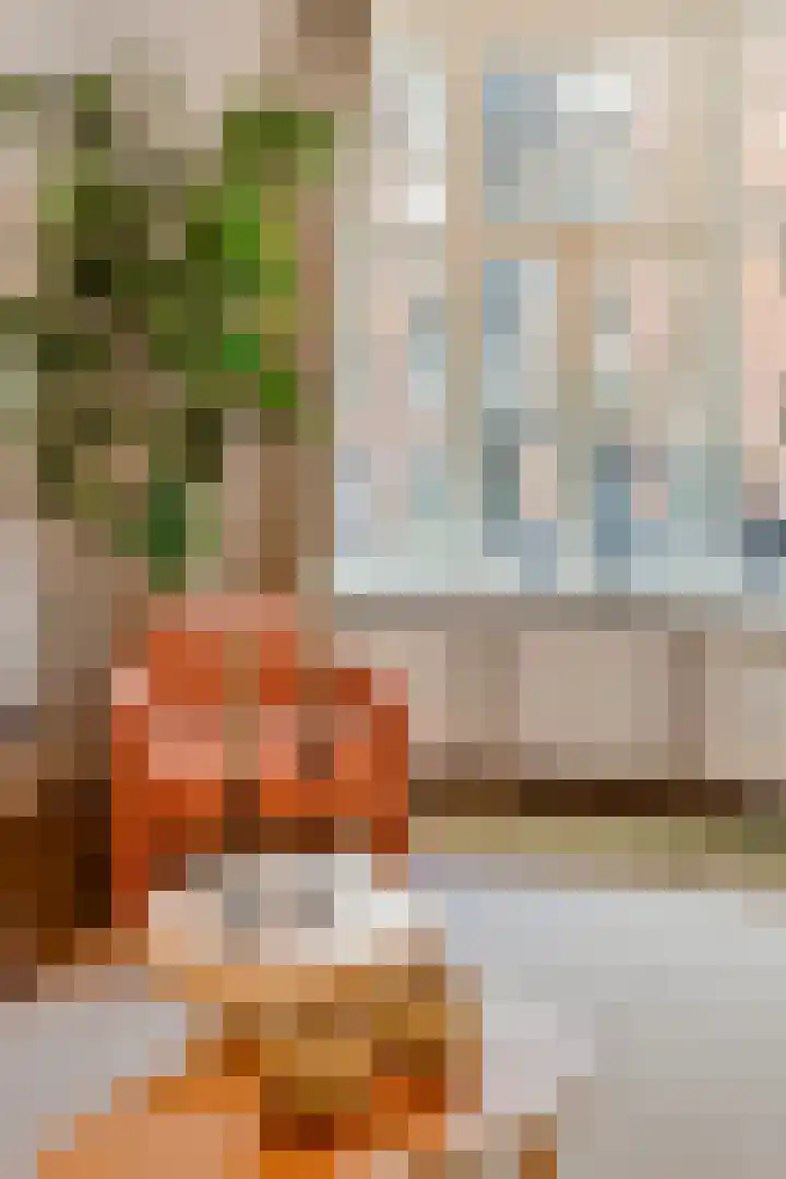 Wethouder Frankeweg 36 H Amsterdam thumbnail 12