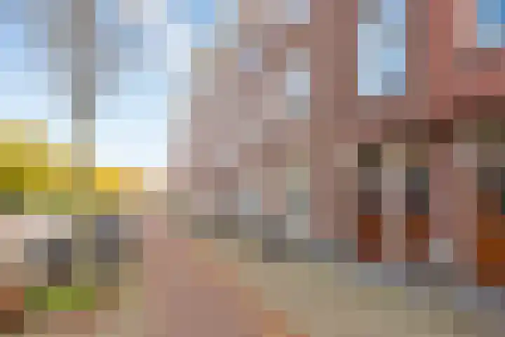 Wethouder Frankeweg 36 H Amsterdam thumbnail 9