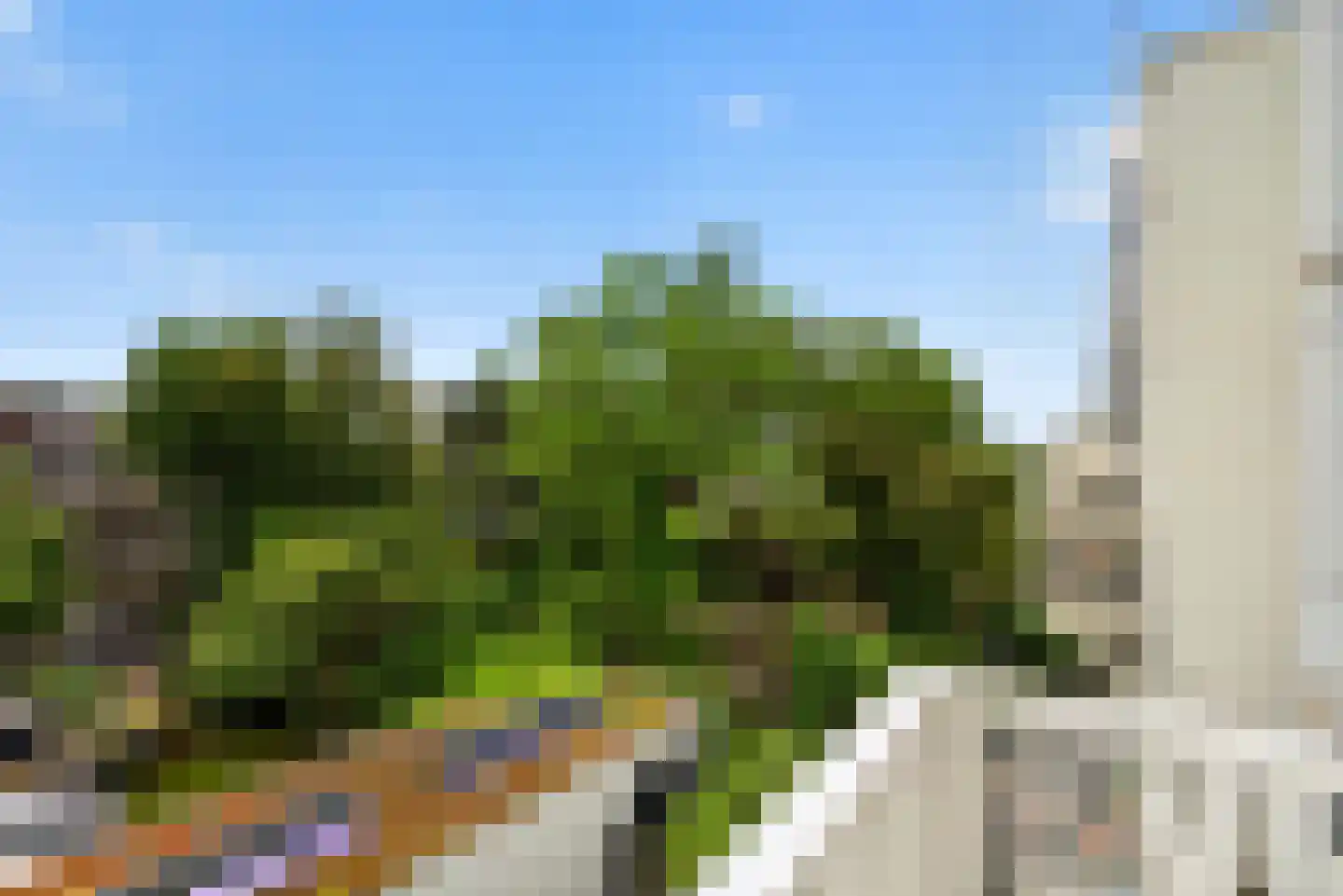 Wethouder Frankeweg 38 2 Amsterdam thumbnail 15