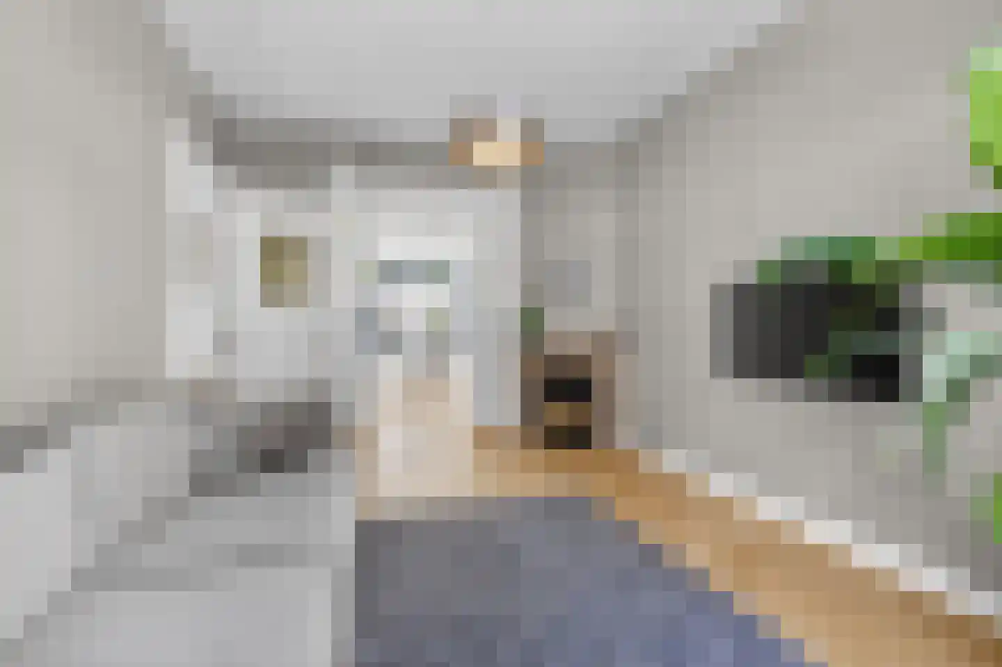 Wethouder Frankeweg 38 2 Amsterdam thumbnail 22