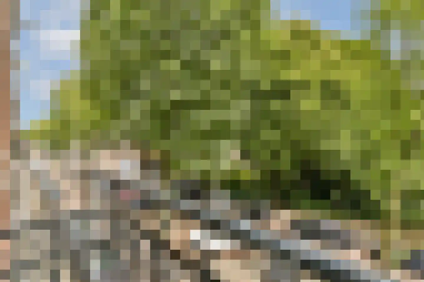 Wethouder Frankeweg 41 1 Amsterdam thumbnail 22
