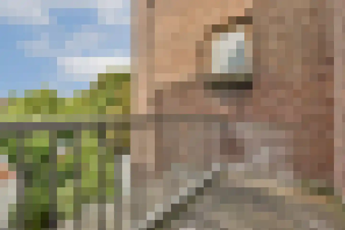 Wethouder Frankeweg 41 1 Amsterdam thumbnail 9