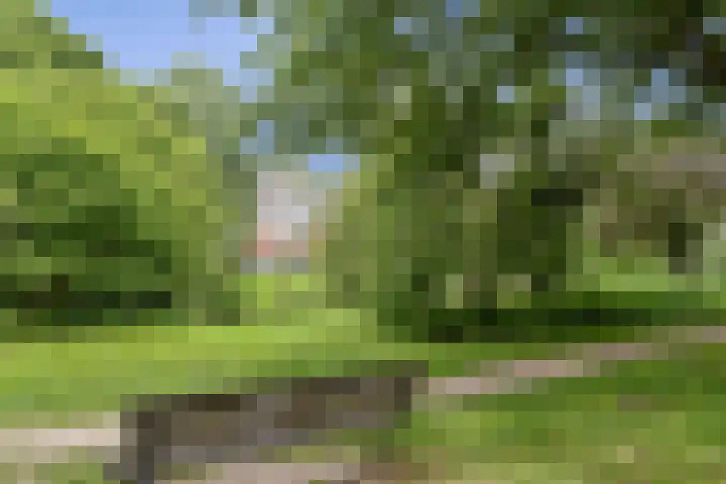 Wethouder Frankeweg 41 2 Amsterdam thumbnail 22