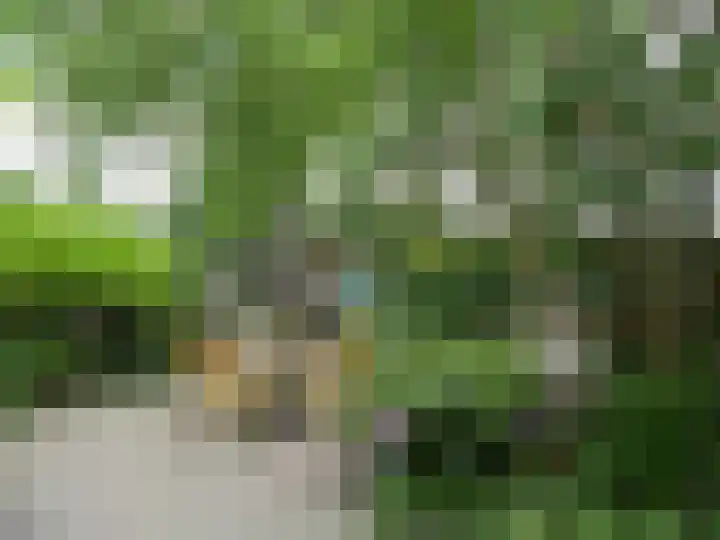 Wethouder G.J. Kuiperstraat 12 Olst thumbnail 5