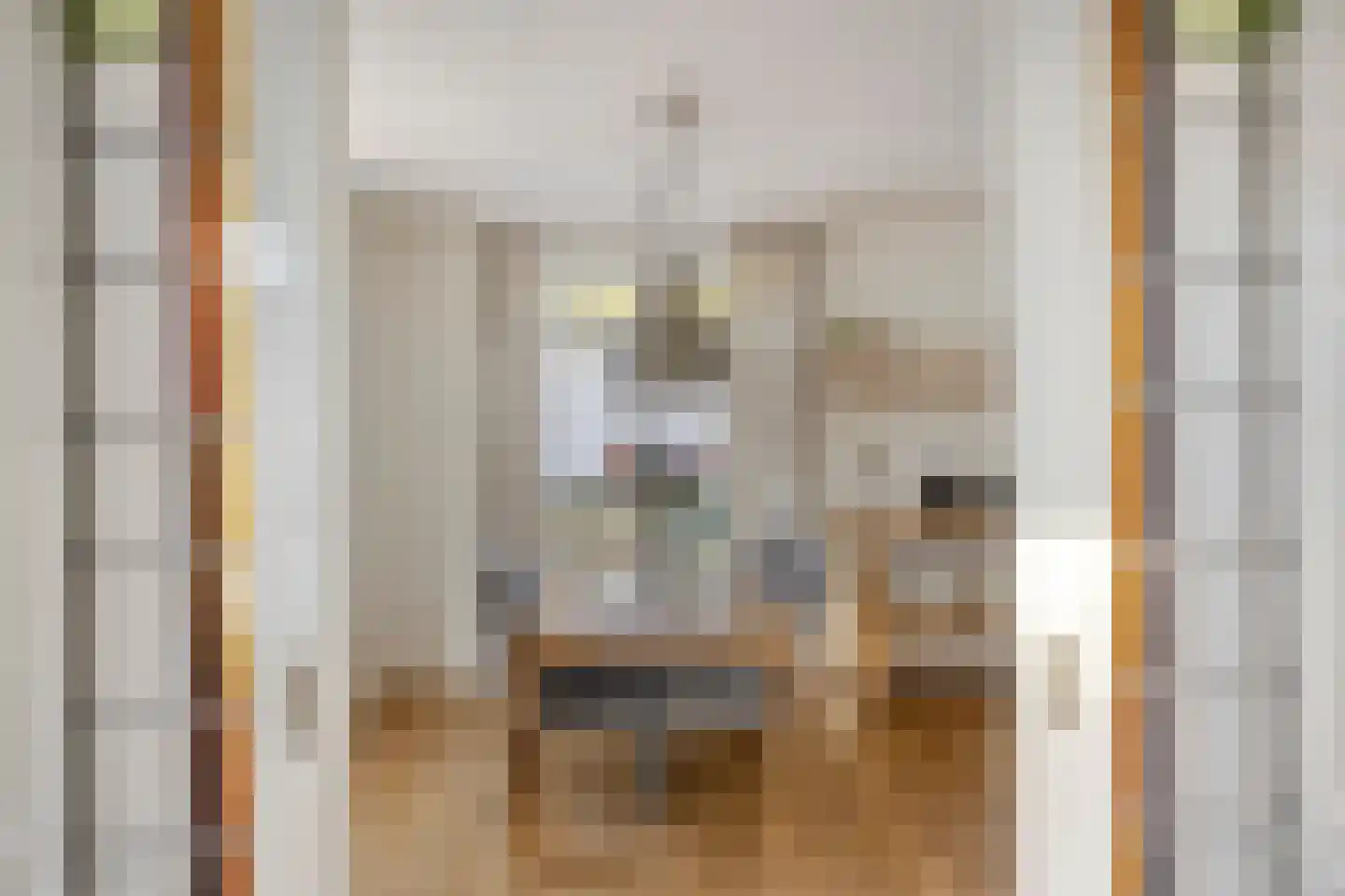 Wethouder G.J. Kuiperstraat 24 Olst thumbnail 5