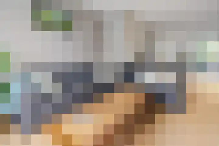 Wethouder G.J. Kuiperstraat 64 Olst thumbnail 7