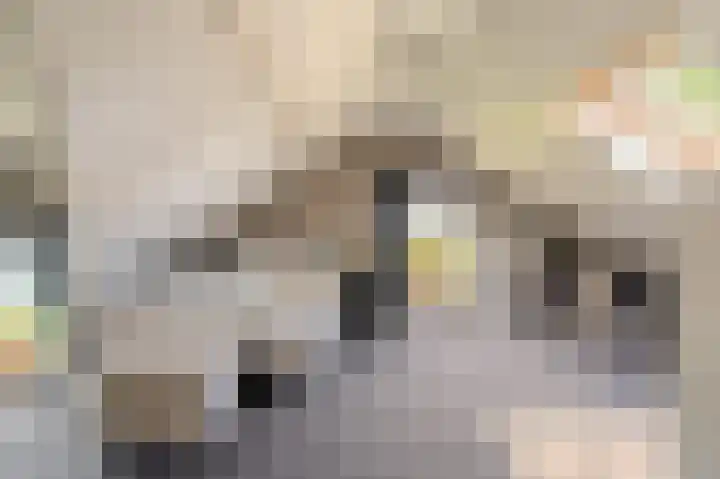 Wethouder G.Mulderstraat 31 Beerta thumbnail 34