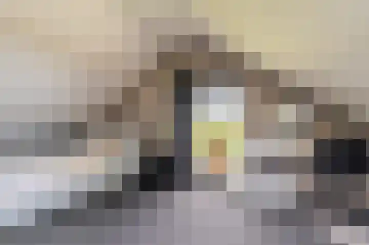 Wethouder G.Mulderstraat 31 Beerta thumbnail 35