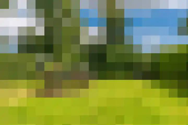 Wethouder G.Mulderstraat 31 Beerta thumbnail 37