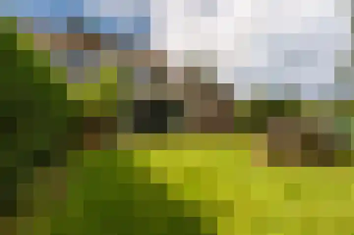 Wethouder G.Mulderstraat 31 Beerta thumbnail 39