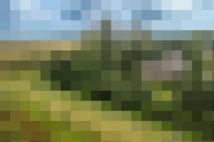 Wethouder G.Mulderstraat 31 Beerta thumbnail 47