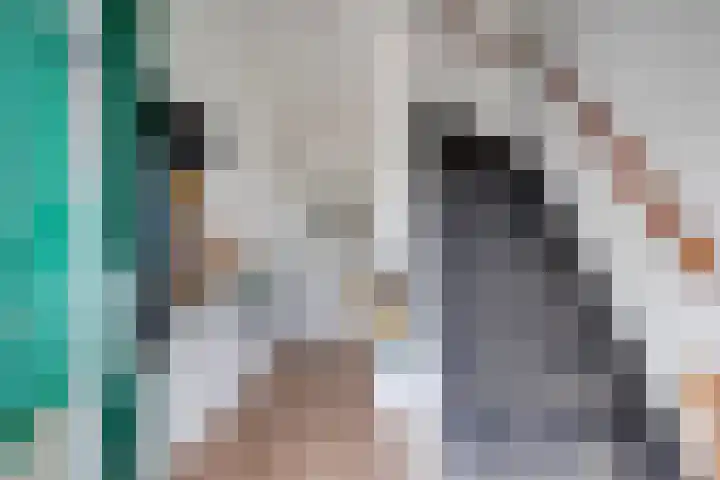 Wethouder Gerssenlaan 7 De Meern thumbnail 6