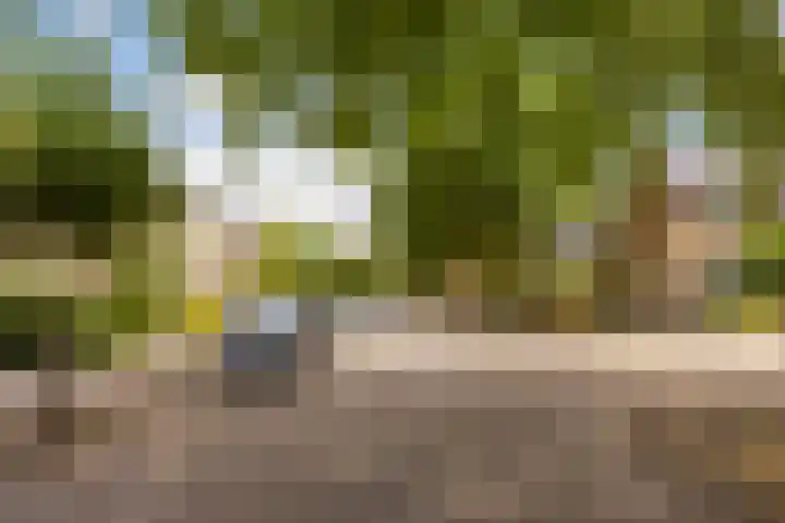 Wethouder Gerssenlaan 83 De Meern thumbnail 24
