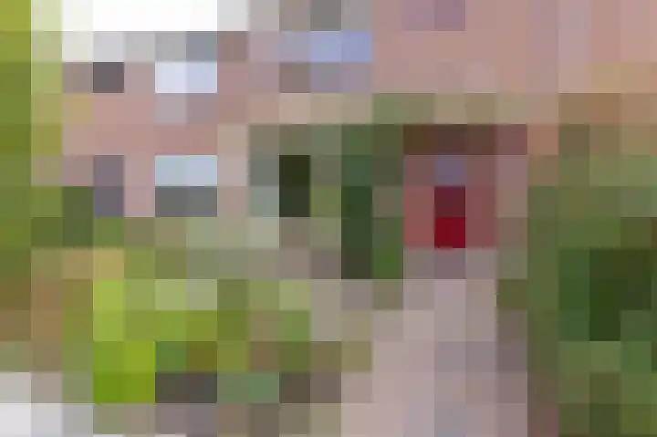 Wethouder Grootstraat 12 Venhuizen thumbnail 6