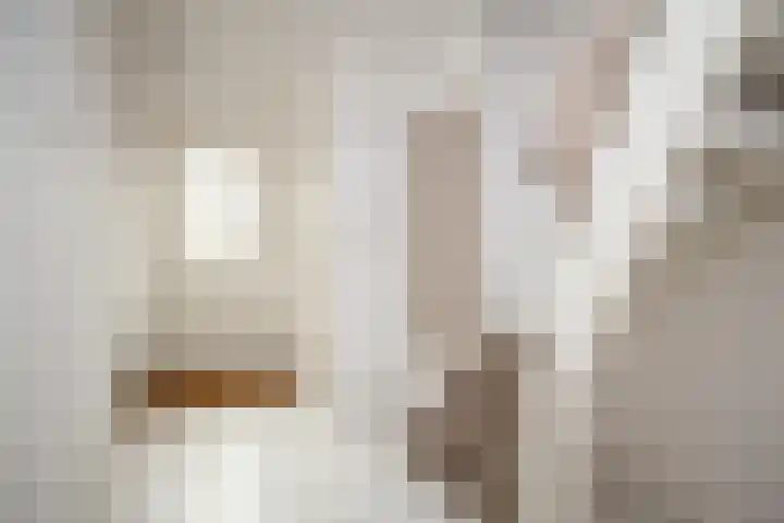 Wethouder Grootstraat 15 Venhuizen thumbnail 6