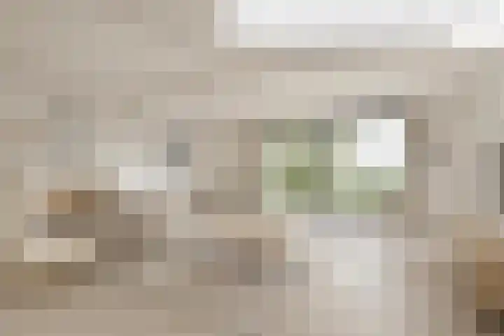 Wethouder Grootstraat 15 Venhuizen thumbnail 8