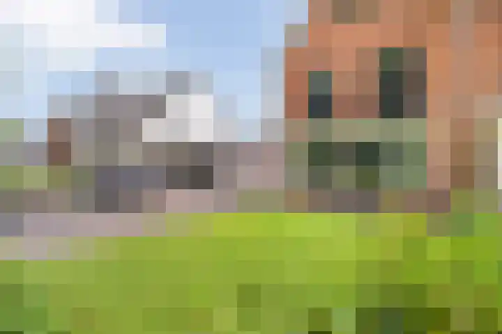 Wethouder H.H. Korteboslaan 115 Rijssen thumbnail 10