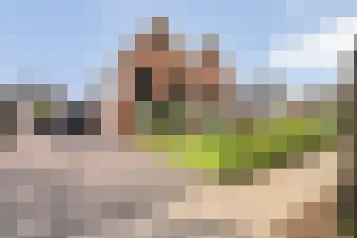 Wethouder H.H. Korteboslaan 115 Rijssen thumbnail 9