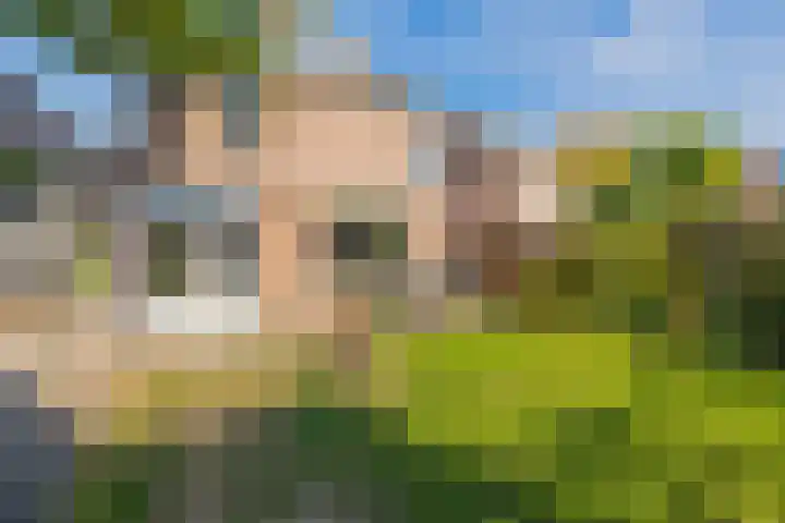 Wethouder Hamacherplein 10 Helmond thumbnail 40