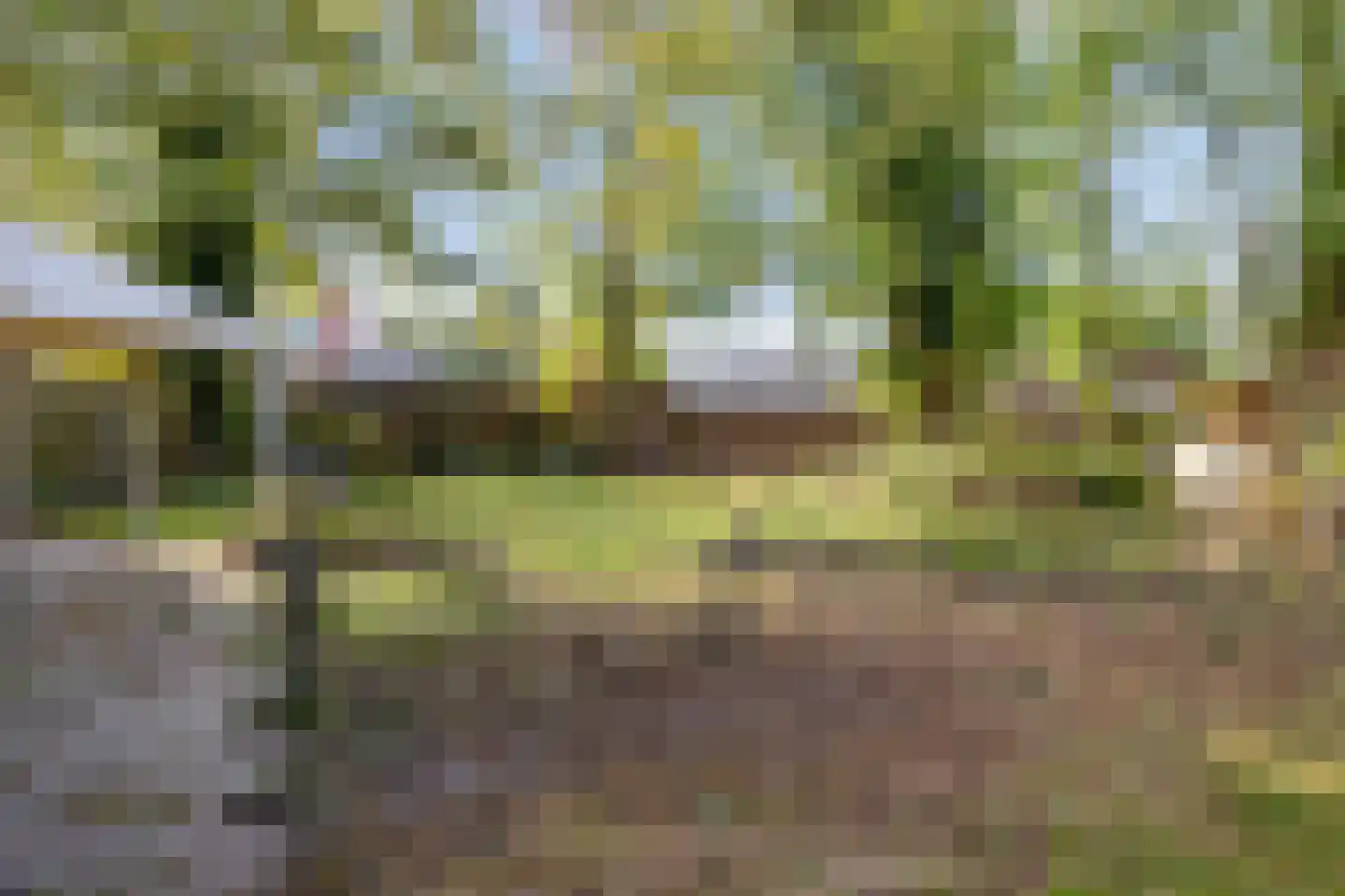Wethouder Hamacherplein 8 Helmond thumbnail 23