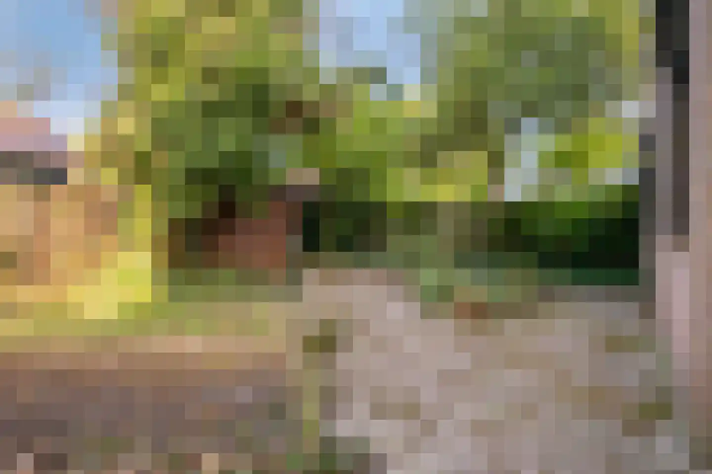 Wethouder Hamacherplein 8 Helmond thumbnail 24