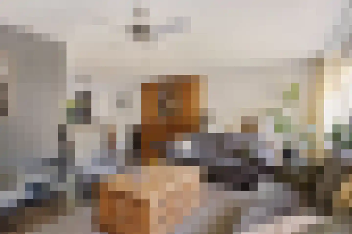 Wethouder Hamsterlaan 17 Leek thumbnail 11