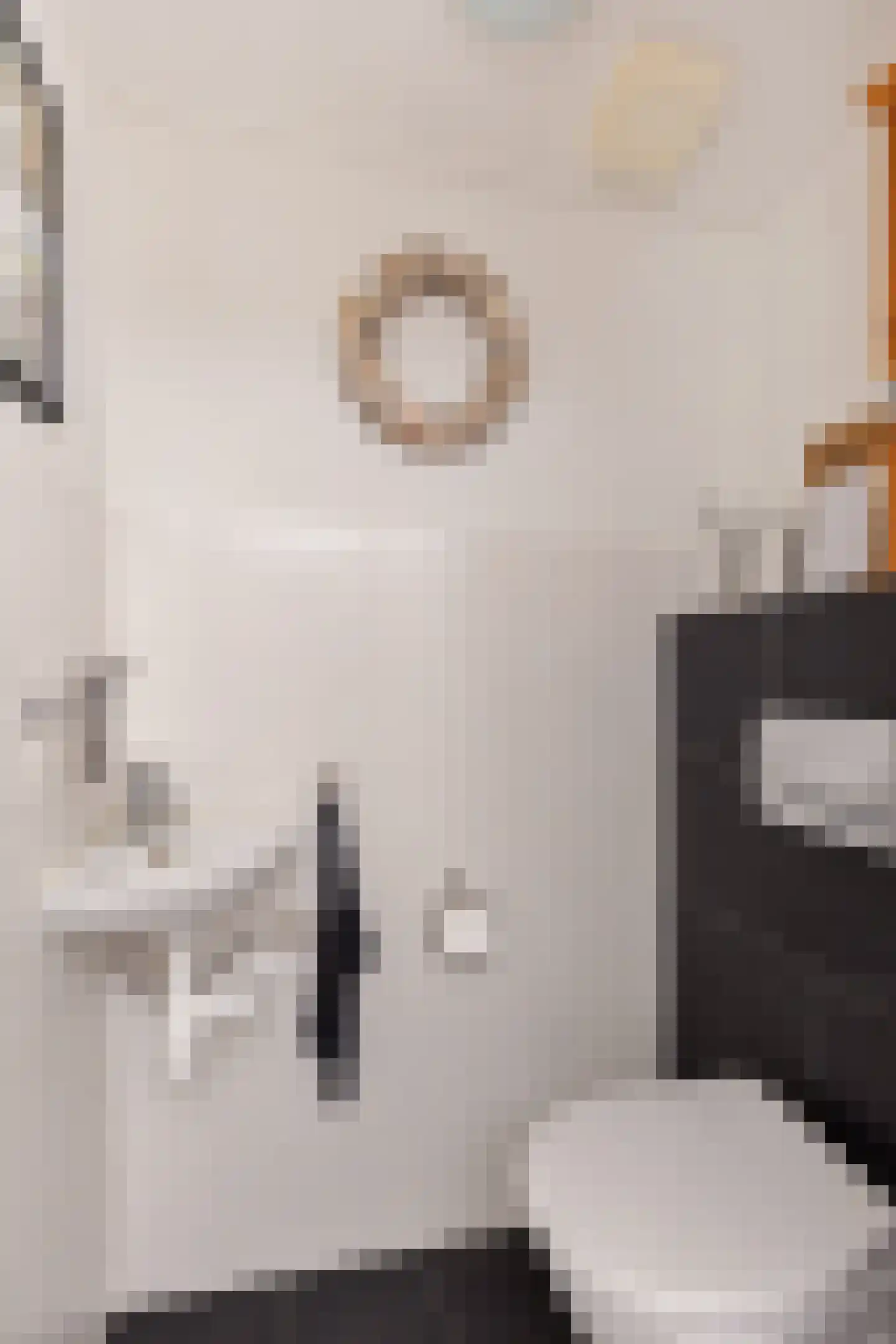 Wethouder Hamsterlaan 17 Leek thumbnail 18
