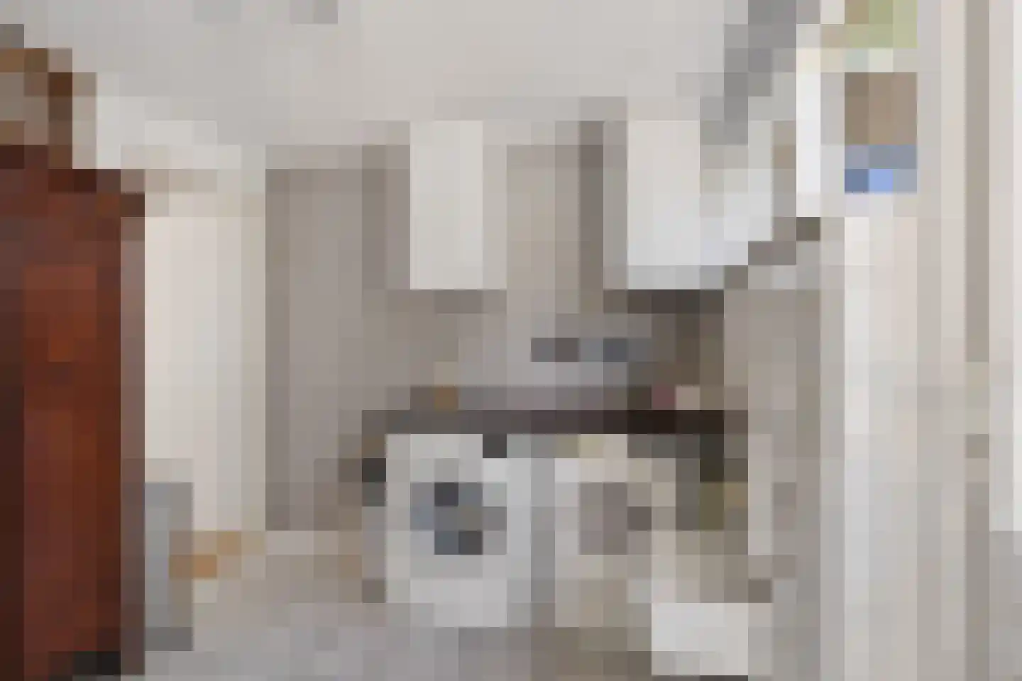 Wethouder Hamsterlaan 17 Leek thumbnail 19