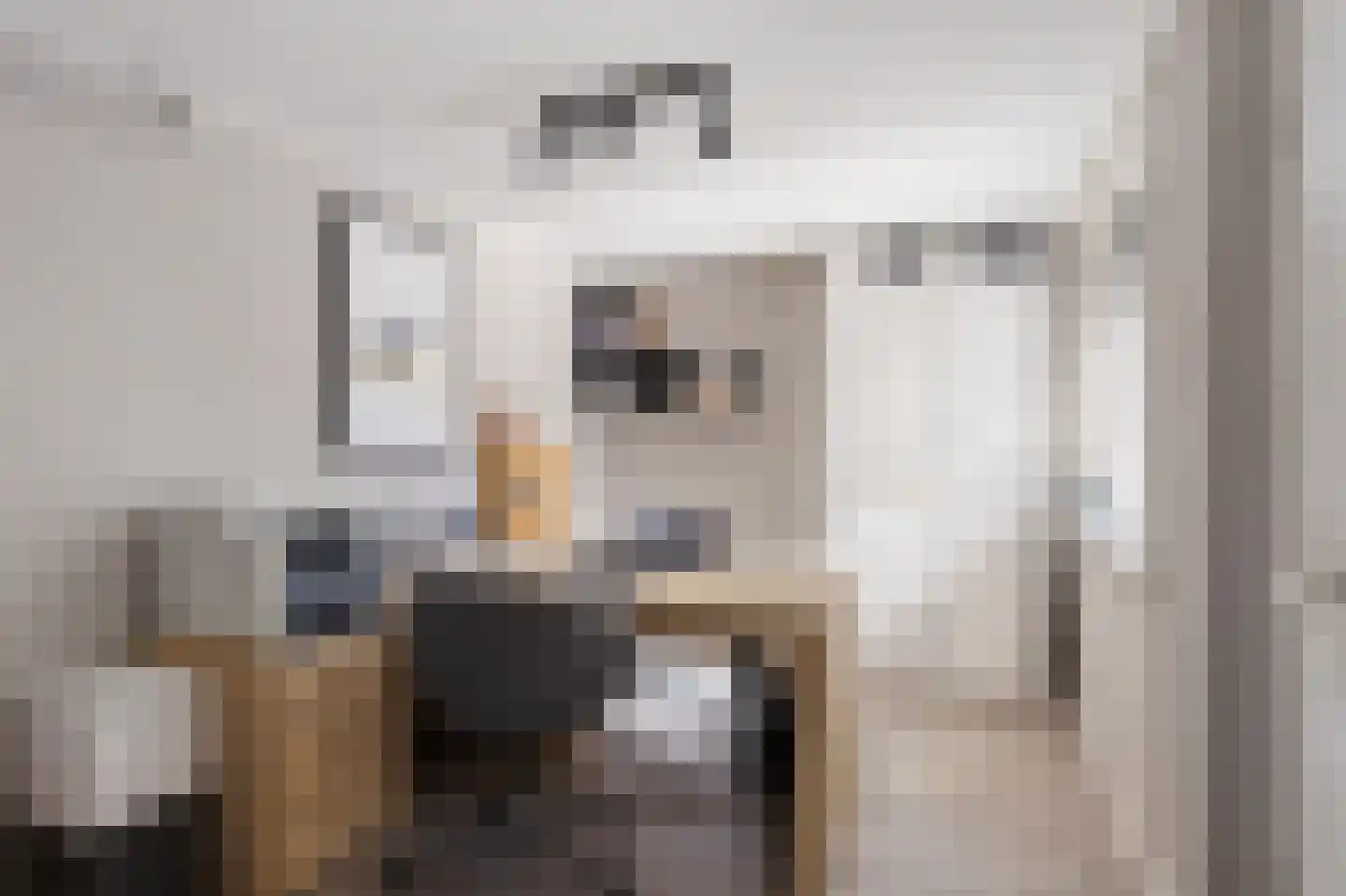 Wethouder Hamsterlaan 17 Leek thumbnail 20