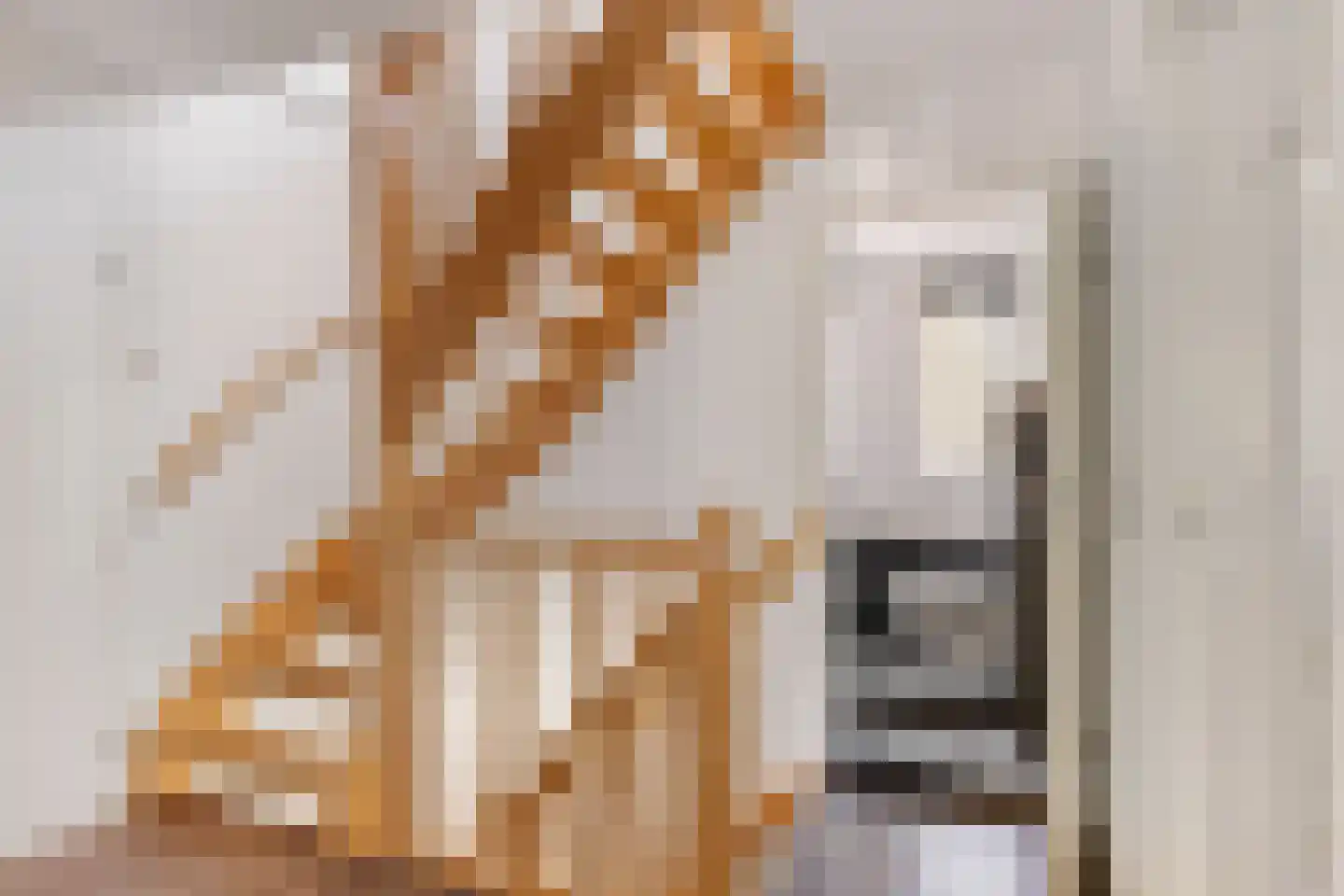 Wethouder Hamsterlaan 17 Leek thumbnail 21