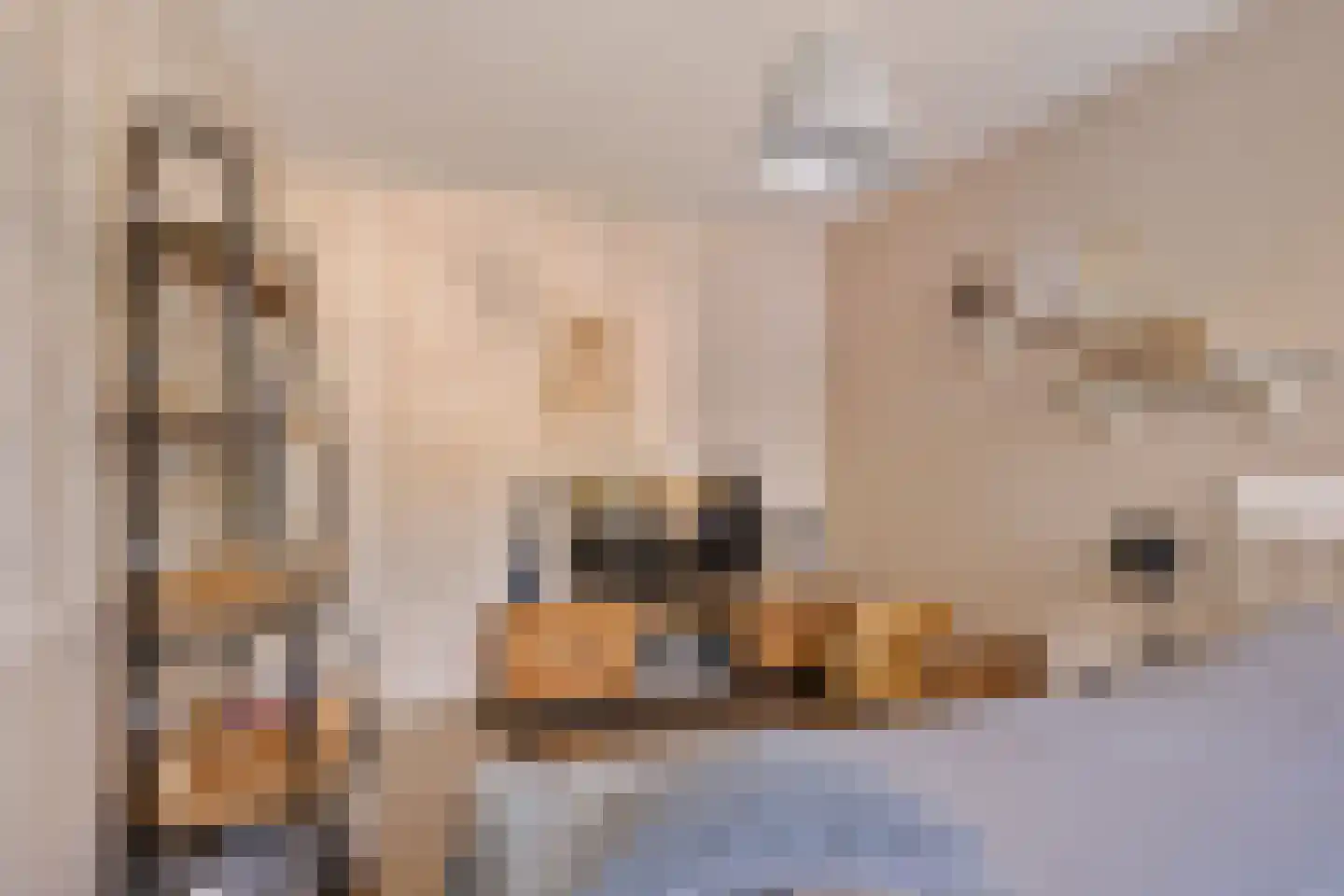 Wethouder Hamsterlaan 17 Leek thumbnail 24