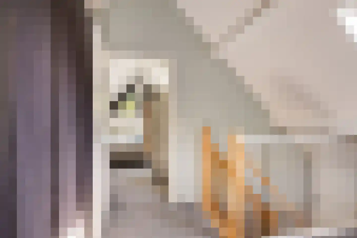 Wethouder Hamsterlaan 17 Leek thumbnail 30
