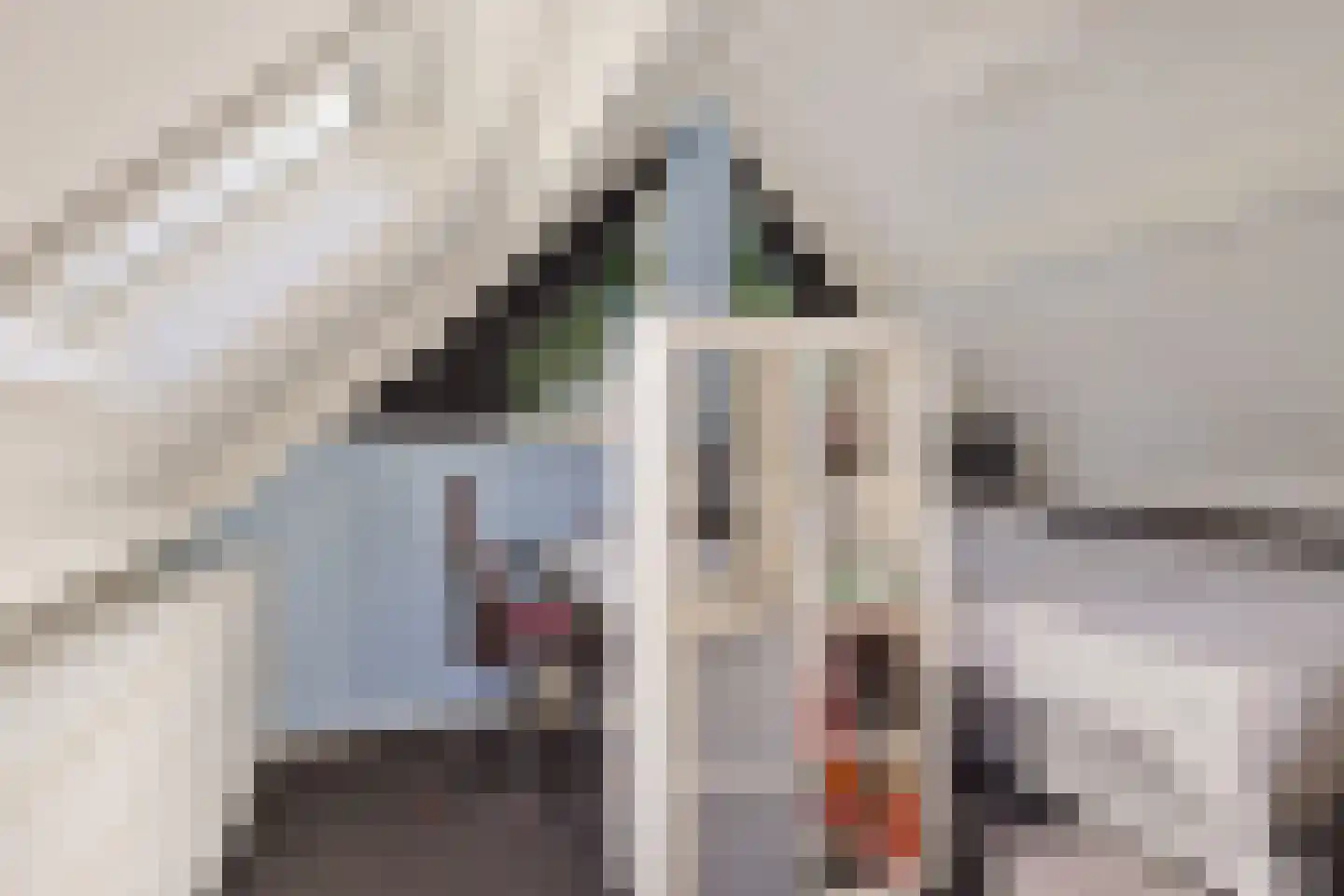 Wethouder Hamsterlaan 17 Leek thumbnail 31