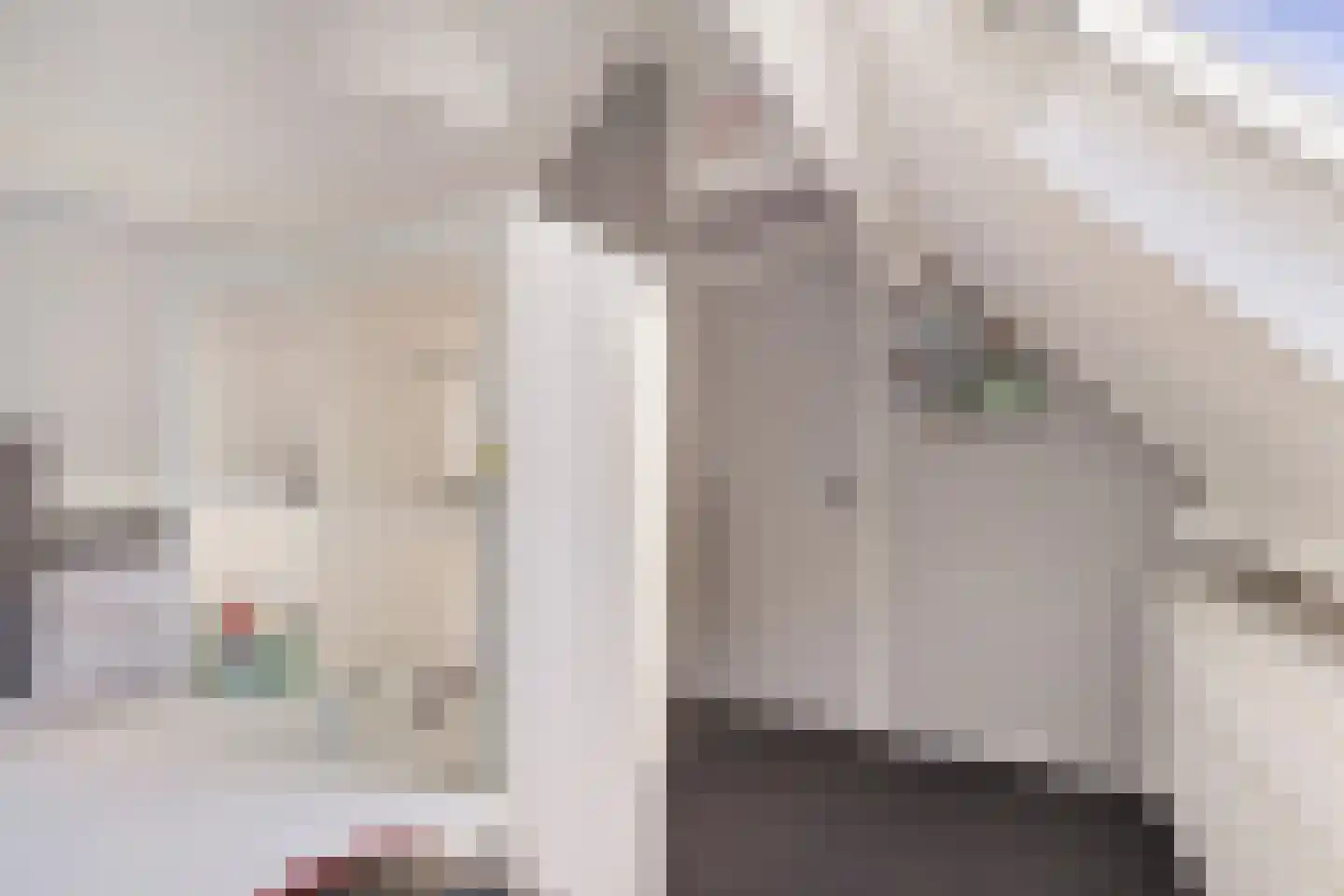 Wethouder Hamsterlaan 17 Leek thumbnail 32